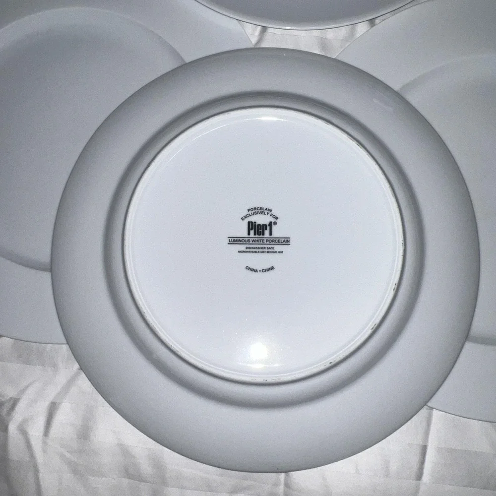 Pier 1 Luminous Porcelain White Coupe Dinner Plates 10 1/2